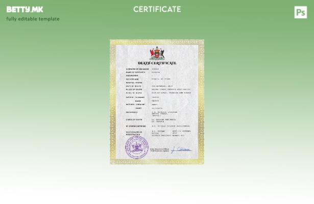 модерен стил Шаблон за PSD сертификат за смрт од витално значење во Тринидад и Т